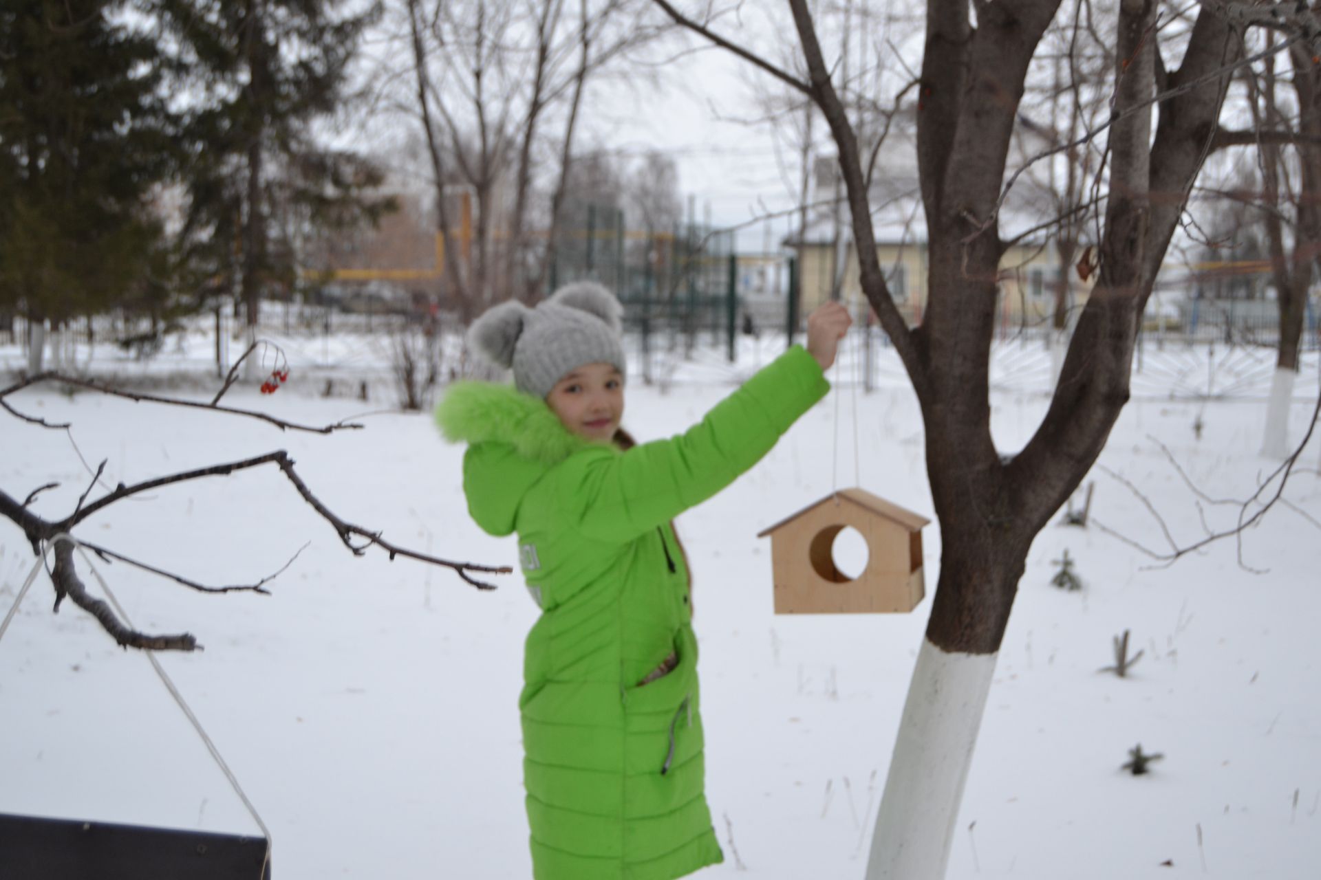 «Трудно птицам зимовать – надо птицам помогать» - экологическая акция