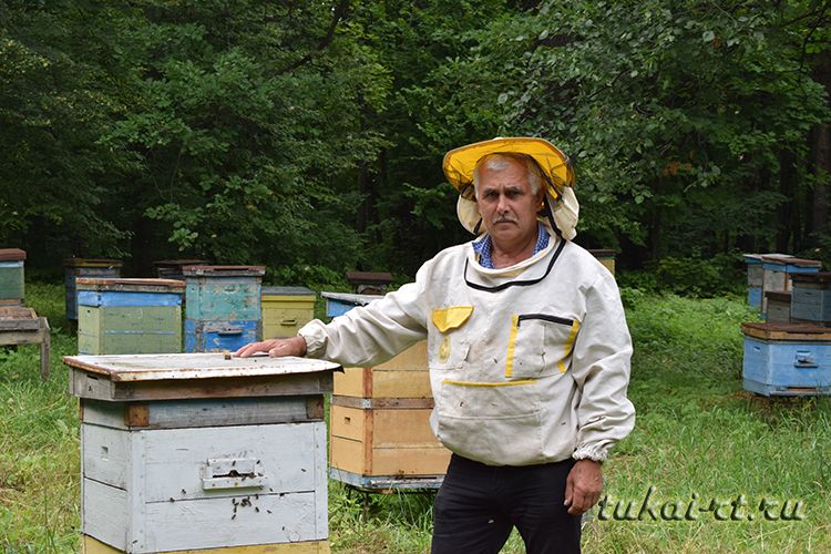 «В этом году лето не для пчел»