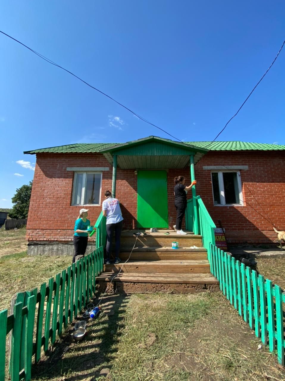 Экологик акция кысаларында  урманнарны чистарттылар