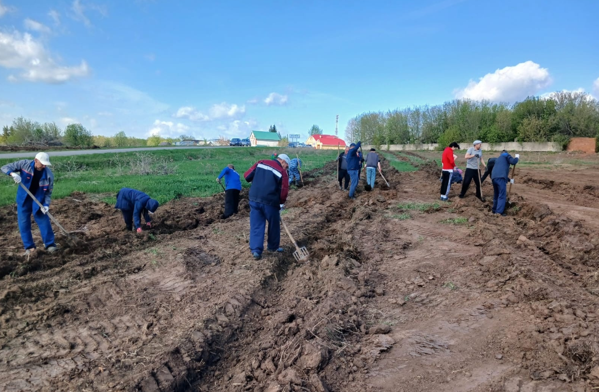 В деревне Новый Байлар высадили 700 саженцев берёзы и сосны