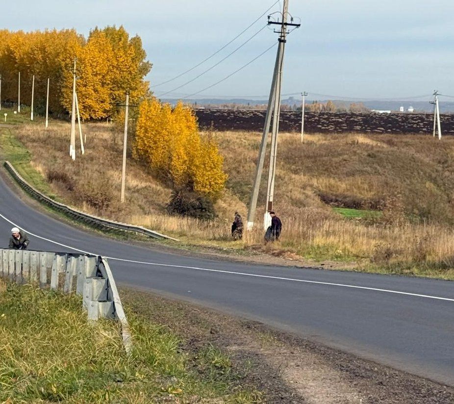 Татарстанда томан һәм көчле җил көтелә