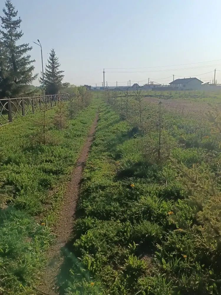 Үзгәрешләр мөмкинлеге: Биклән халкы үз ял паркының киләчәген сайлый