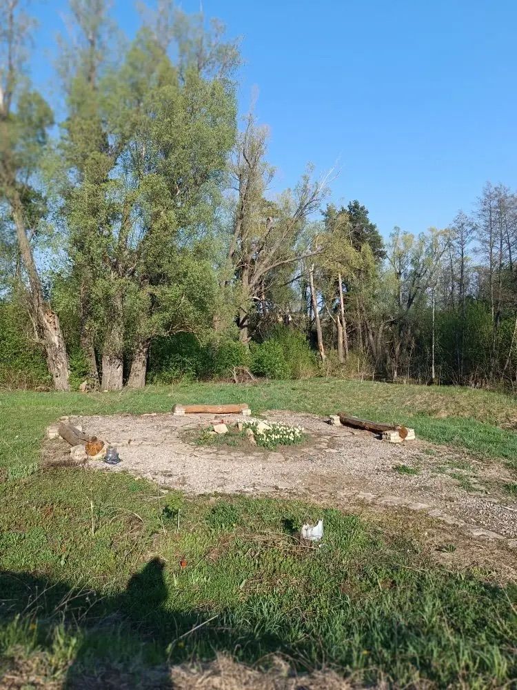 Үзгәрешләр мөмкинлеге: Биклән халкы үз ял паркының киләчәген сайлый