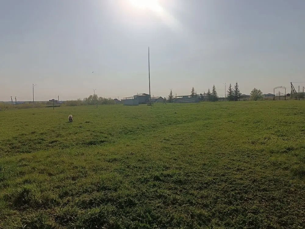 Үзгәрешләр мөмкинлеге: Биклән халкы үз ял паркының киләчәген сайлый