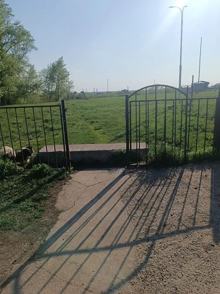 Үзгәрешләр мөмкинлеге: Биклән халкы үз ял паркының киләчәген сайлый
