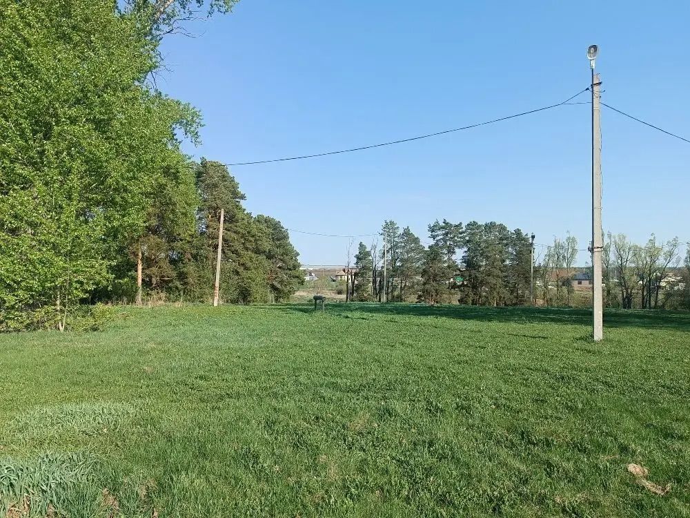 Үзгәрешләр мөмкинлеге: Биклән халкы үз ял паркының киләчәген сайлый