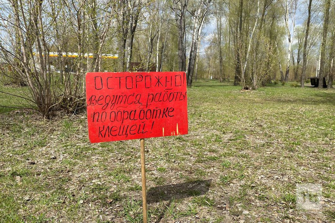 Роспотребнадзор предупреждает о пике активности клещей