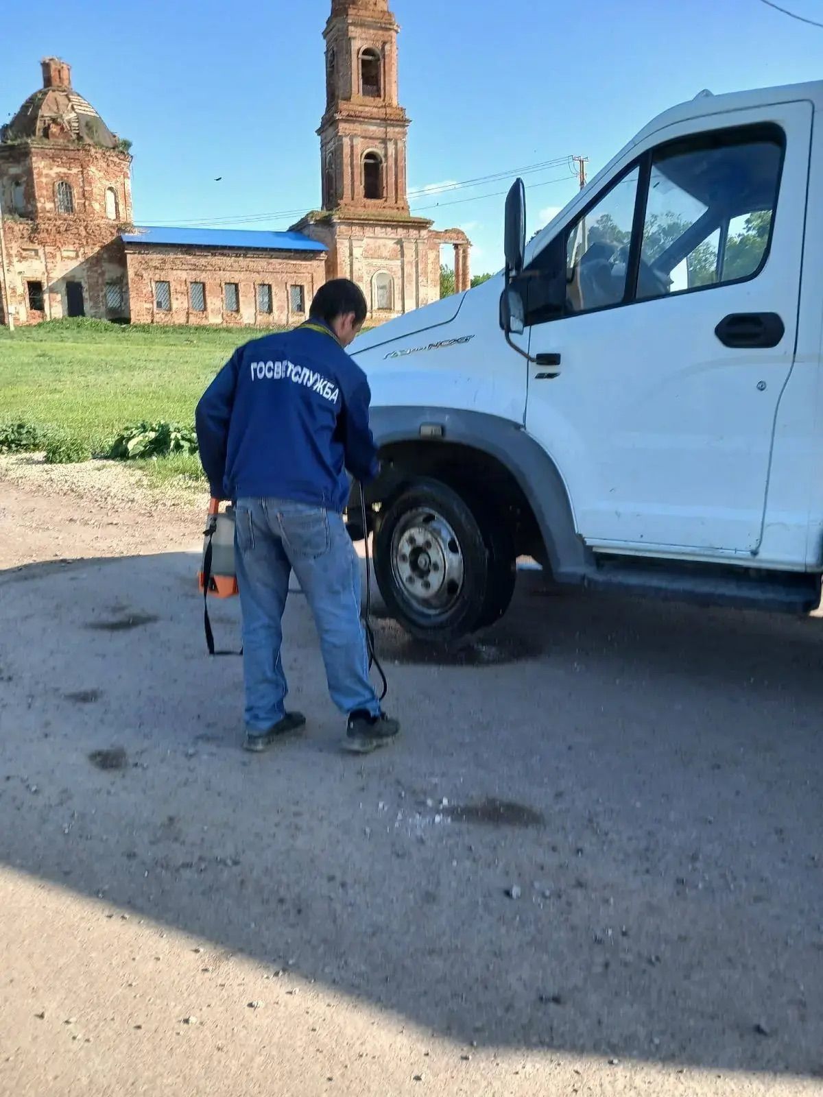 В Тукаевском районе ветеринары начали строгий отбор овец к Курбан-байраму