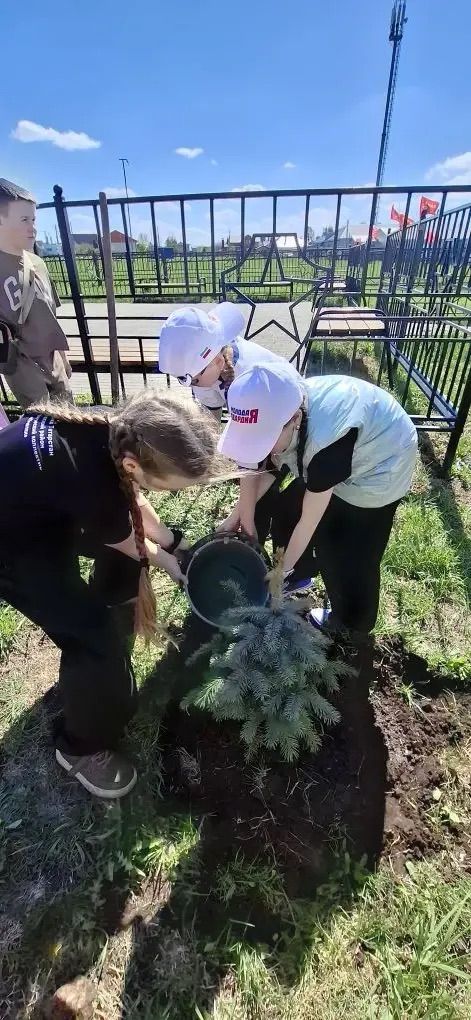В Старых Ерыклах заложили живой памятник героям