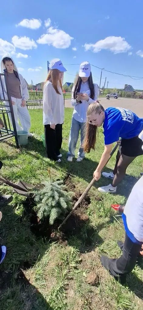 В Старых Ерыклах заложили живой памятник героям