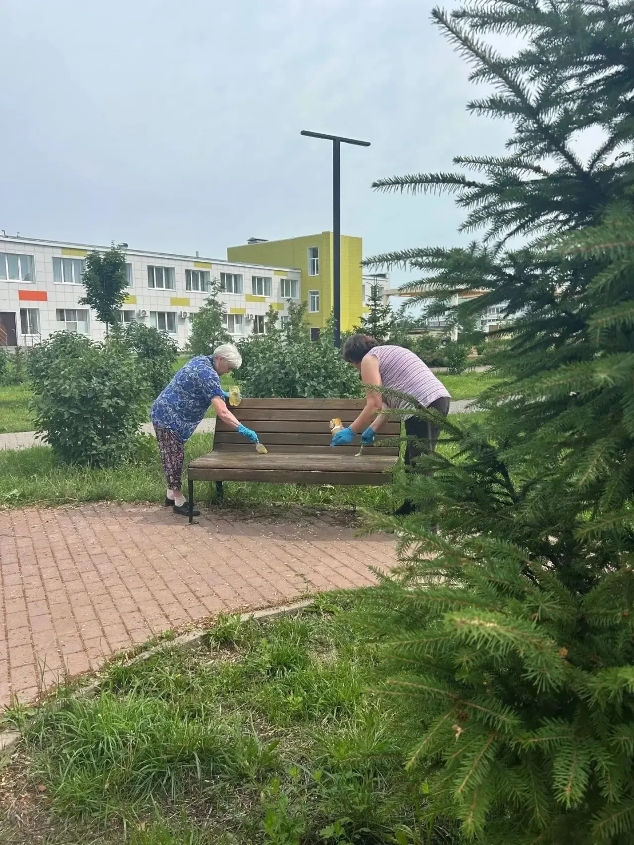 «Татарстан» совхозы поселогында волонтерлар өмә уздырды