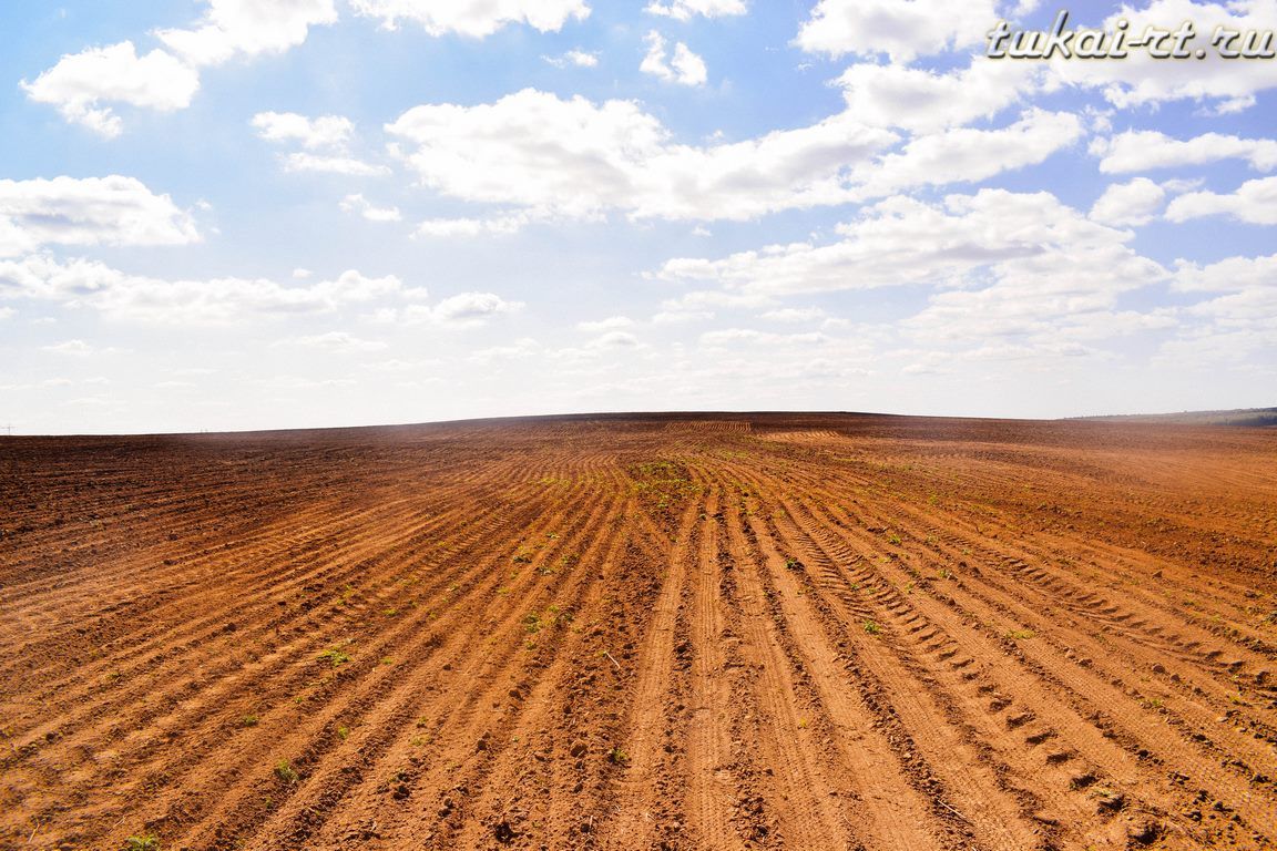 Миңнехузин хуҗалыгы районда 27 ел буе сөрелмичә яткан җирләрне эшкәртүгә кереште ФОТО
