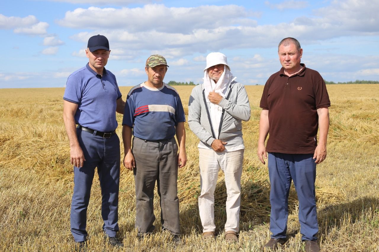 Тукай районы башлыгы Фаил Камаев узган атна күрсәткечләре буенча  югары күрсәткечләргә ирешкән кыр батырларына премиялэр тапшырды