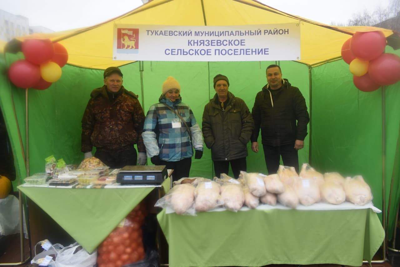 Тукай районында Бөтенроссия татар авыллары эшмәкәрләренең IX җыены