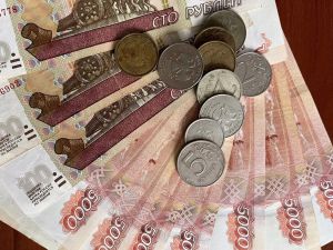 Некоторые татарстанцы могут получать до 40 тысяч рублей ежемесячно