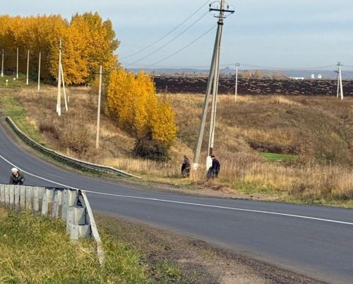Татарстанда томан һәм көчле җил көтелә