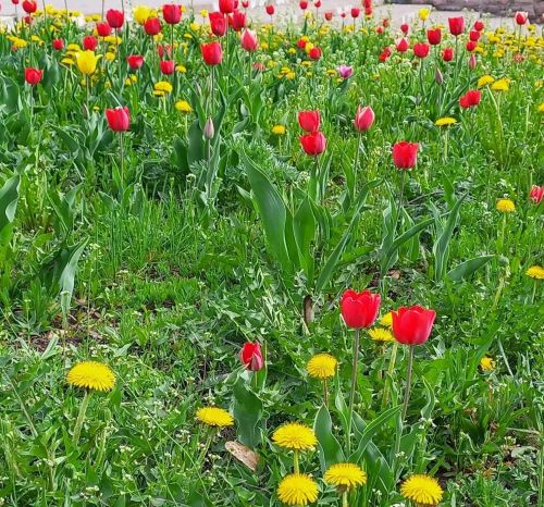 Бүген Татарстанда +31˚кадәр җылы булуы көтелә