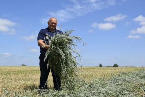 Туган җирнең газиз улы