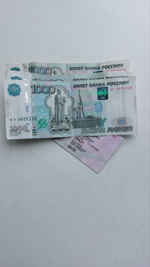 Накопили более 50 тысяч рублей штрафов