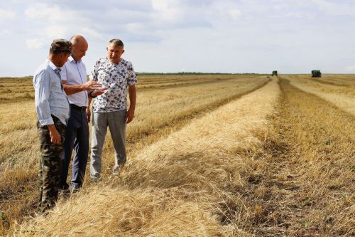 Фаил Камаев урып-җыю эшләренең барышы белән танышу максатыннан район басуларына чыкты, анда авыл хуҗалыгы хезмәткәрләре белән очрашты