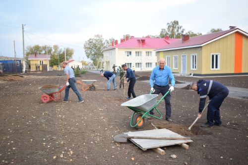 «Балкыш» лагере янында чыршылар утырттылар