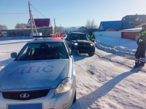 Операция «Тоннель» успешно завершена: выявлено 6 водителей, перевозивших детей без специальных удерживающих устройств