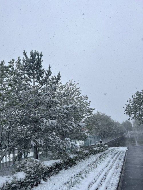 17 февральдә Татарстанда буран һәм көчле җил көтелә