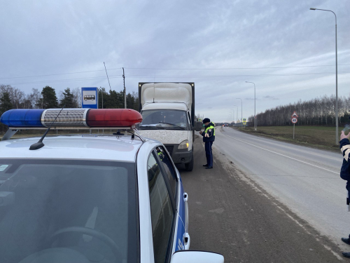 Терлек кертү кагыйдәләрен бозучыларга 700 мең сумга кадәр штраф яный