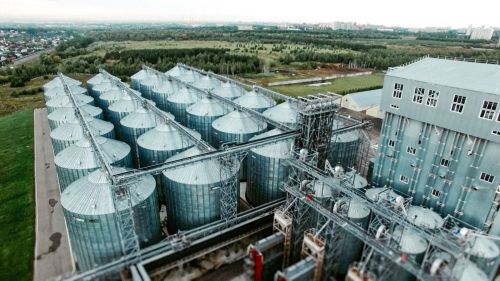 Республиканың агросәнәгать экспорты 540 млн доллардан артты