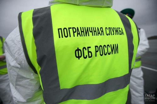 Илгә хантавирус үтеп кермәсен өчен чик буенда тикшерүләр көчәйтелде