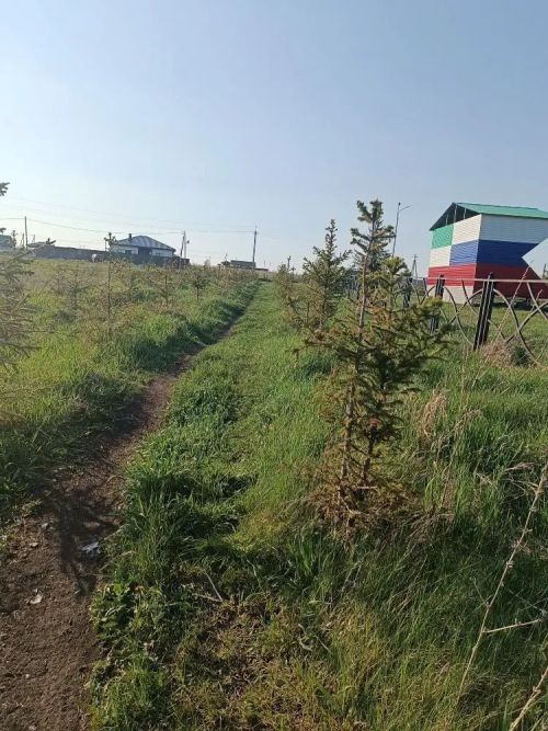 Үзгәрешләр мөмкинлеге: Биклән халкы үз ял паркының киләчәген сайлый