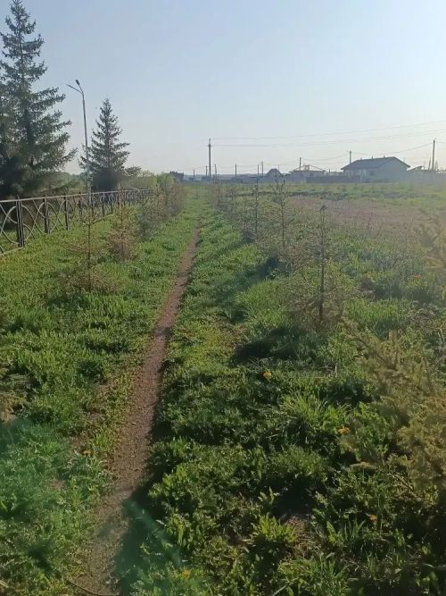 Үзгәрешләр мөмкинлеге: Биклән халкы үз ял паркының киләчәген сайлый