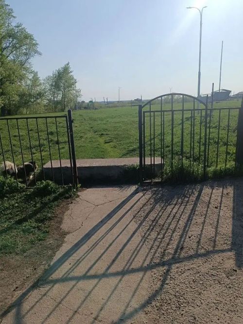 Үзгәрешләр мөмкинлеге: Биклән халкы үз ял паркының киләчәген сайлый