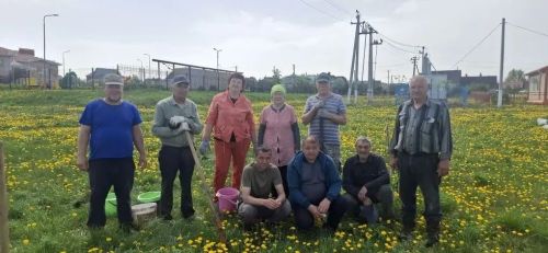 Иске Җирекледә агачлар утырттылар
