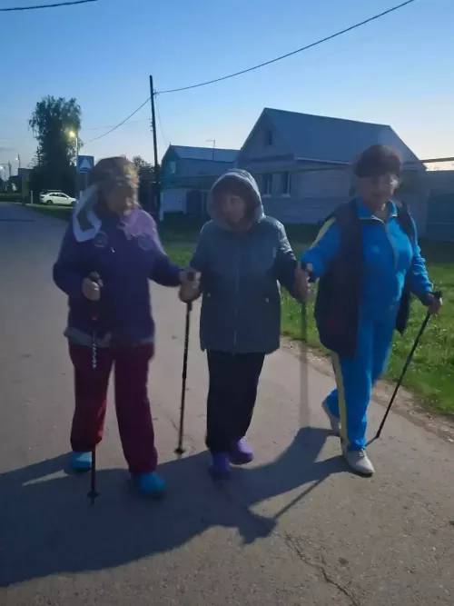 Яңа Байлар өлкәннәре - скандинав йөрешендә