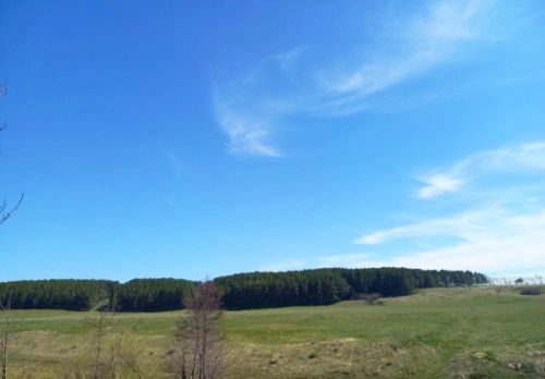 Татарстанда бүген +33 градус эсселек һәм урыны белән яңгырлар көтелә