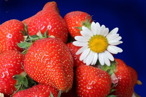 Россия Әрмәнстаннан яшелчә һәм җиләк кертүгә вакытлыча чикләүләр кертә
