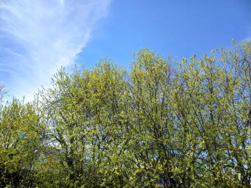 Бүген Татарстанда +21˚кадәр җылытачак
