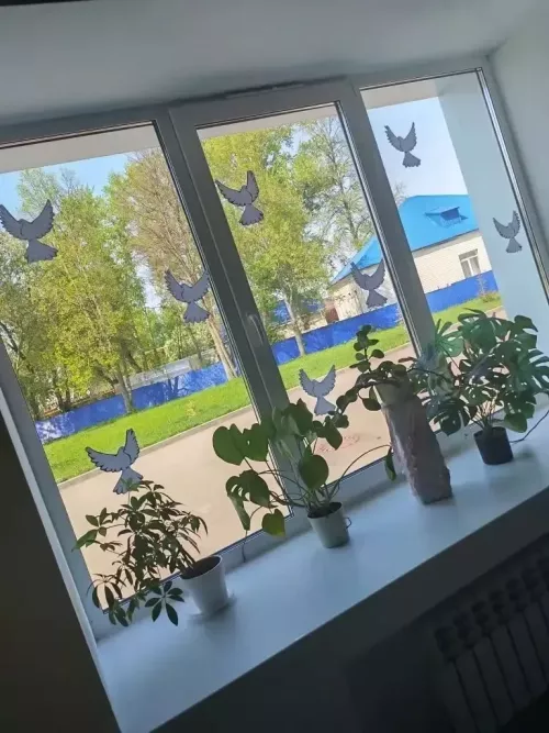 Тукай районында «Җиңү тәрәзәләре» акциясе бара