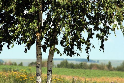 «Тормыш дулкыннары» — язмышлар турында яңа сәхифә
