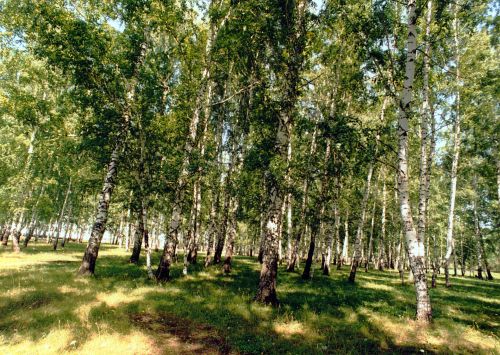 Бүген Тукай районында температура +20 градуска кадәр күтәреләчәк