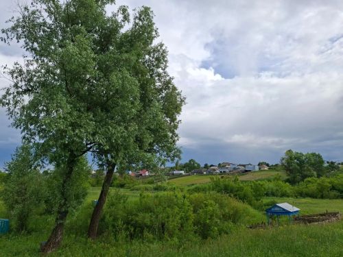 Иң якын дустым иремне тартып алды