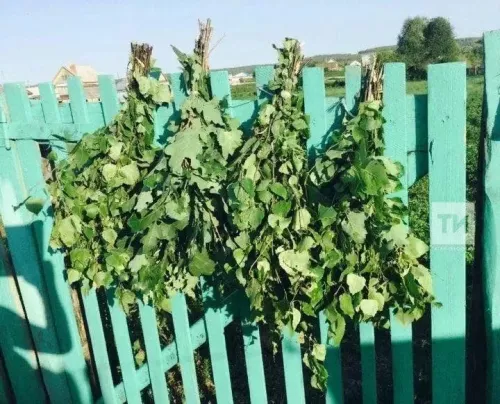Каен себеркесе әзерләү серләре