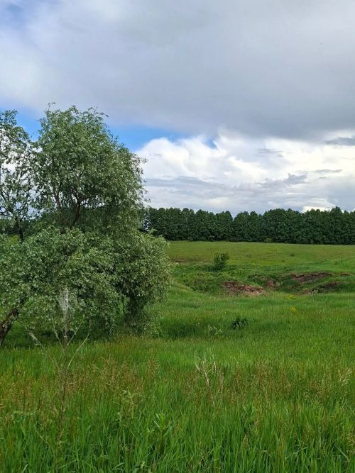 Бүген Татарстанда 29 градуска кадәр җылытачак