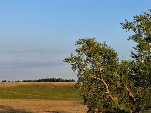 Татарстанда ял көнендә көчле яңгырлар һәм боз явуы ихтимал