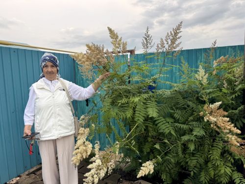 «Татарстан» совхоз поселогында яшәүче 78 яшьлек Наилә апаның бакчасында бер чүп күрмәссең!