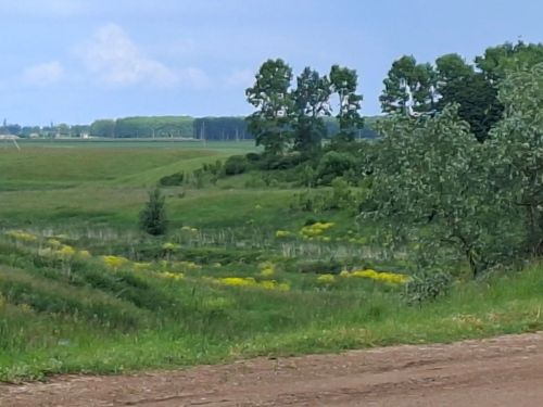 Татарстанга эссе көннәр килде