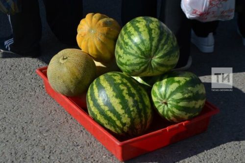 Киселгән карбыз сатып алырга ярыймы?