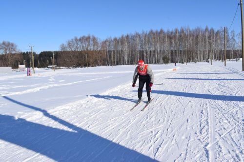 Год семьи на лыжных гонках: спорт, достижения и важность семейных ценностей