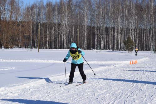 Год семьи на лыжных гонках: спорт, достижения и важность семейных ценностей